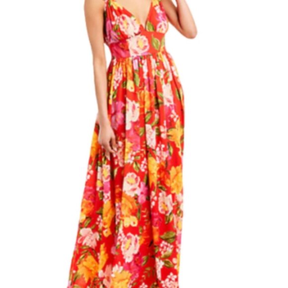 Ronny Kobo Maxi Dress - Picture 3 of 6